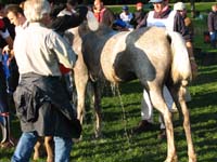 IMG_8748