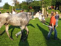 IMG_8753