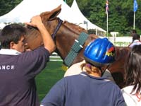 IMG_8373
