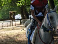 IMG_8479