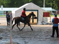 IMG_8519