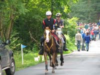 IMG_8530