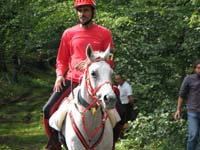 IMG_8582