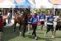 IMG_1256