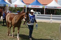 IMG_1260