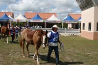 IMG_1261