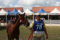 IMG_1267