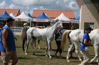 IMG_1284