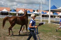 IMG_1291