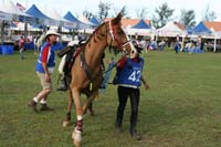 IMG_1595