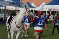 IMG_1608