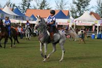 IMG_1614