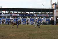 IMG_1691