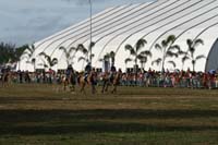 IMG_1717