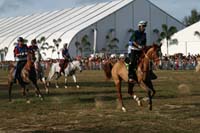 IMG_1726