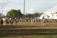 IMG_1733