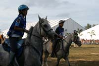 IMG_1746