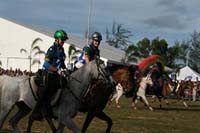 IMG_1750