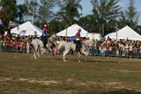 IMG_1753