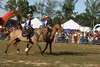 IMG_1754