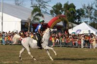 IMG_1759