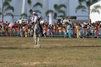 IMG_1762