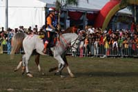 IMG_1768