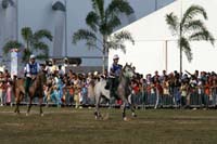 IMG_1772
