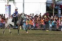 IMG_1774