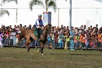 IMG_1775