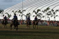 IMG_1778