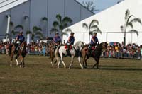 IMG_1781