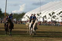 IMG_1805
