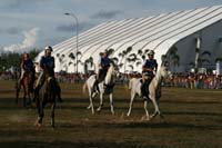 IMG_1806