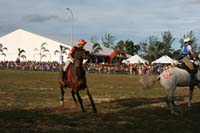 IMG_1810