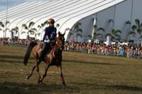 IMG_1821