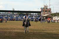 IMG_1826