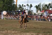 IMG_1831