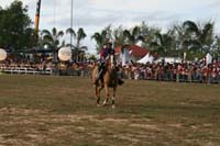 IMG_1832