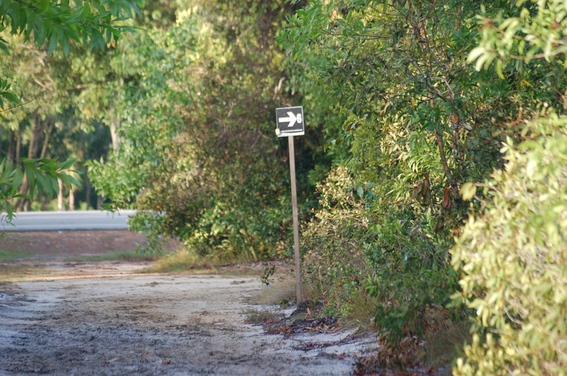 DSC_0383
