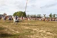 OSM36055