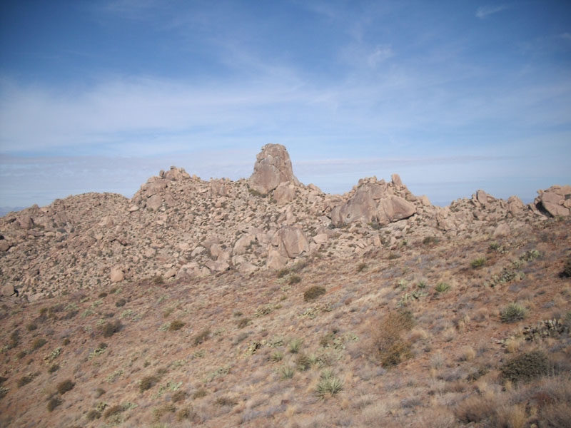 DSCF4123