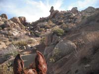 2010Arizona/gallery/TomThumb/thumbnails/DSCF4049.jpg