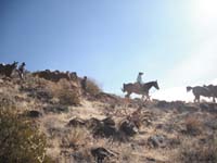 2010Arizona/gallery/TomThumb/thumbnails/DSCF4132.jpg