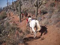 2010Arizona/gallery/TomThumb/thumbnails/DSCF4134.jpg