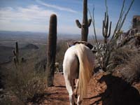 2010Arizona/gallery/TomThumb/thumbnails/DSCF4137.jpg