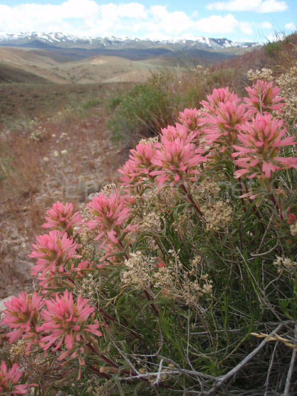 P5230130