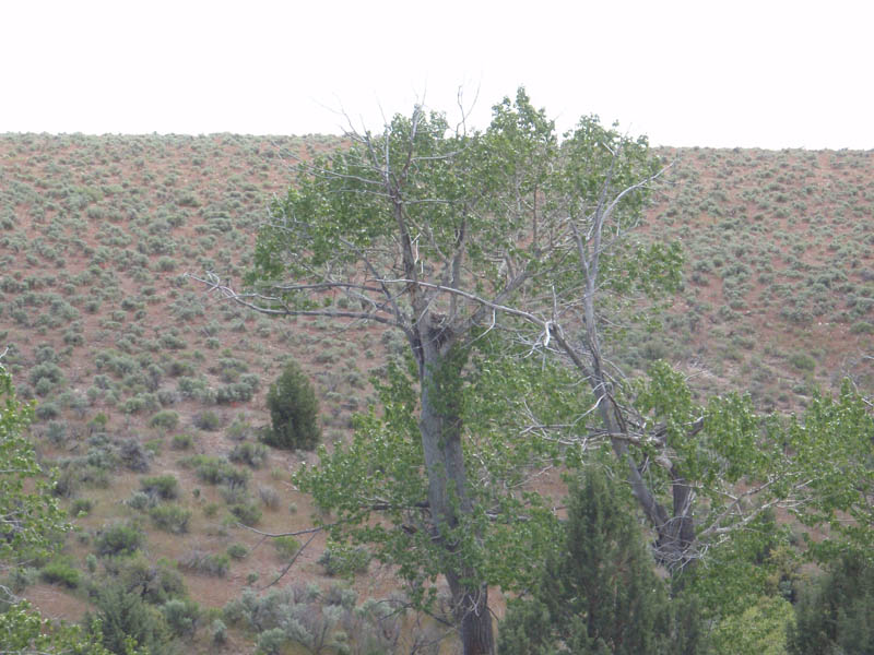 P5240157