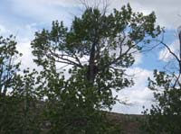P5240158