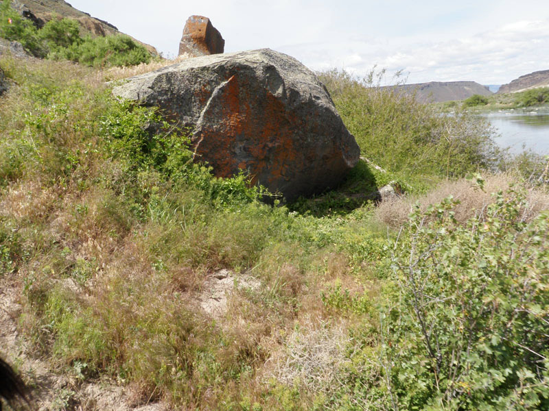 P5300136